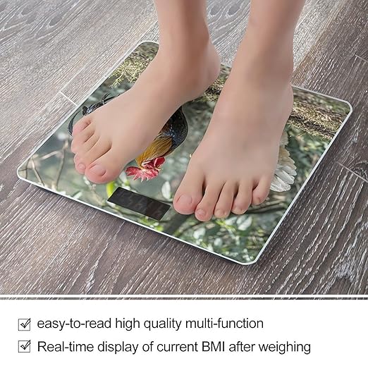 Rooster and Hen Bathroom Scale for Body Weight Bathroom Weighing Scales with Back Lit LED Display Sturdy Tempered Glass Body Weight Bathroom Scale 400lb Weighing