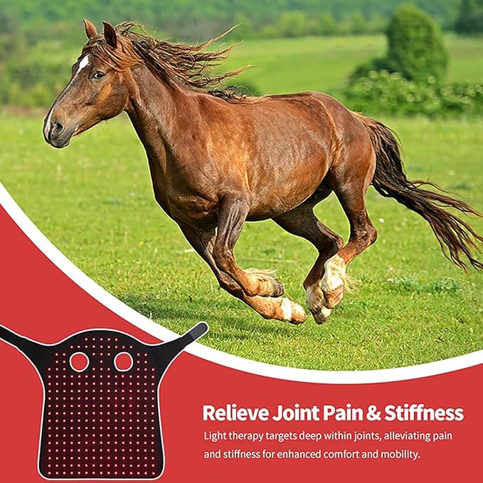 Wearable Red Light Therapy for Horses Head 3in1 Diode Led Red Light Therapy Horses Head Equipment 850nm+660nm for Horse Head/Neck Deep Light Therapy