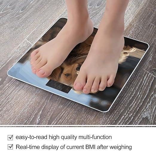 Cats and Dogs Bathroom Scale for Body Weight Bathroom Weighing Scale with Backlit LCD Display Highly Accurate Measures Weight Up to 180kg