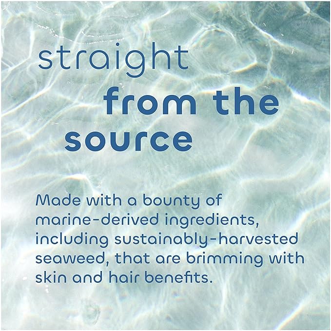 Seaweed Bath Co. Body Wash Body Cream and Body Scrub Trio 12 Ounce 6 Ounce (Pack of 2) Orange Cedar Scent Sustainably Harvested Seaweed