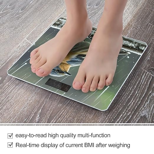 Bird on Rainy Day Weight Scale Large Digital Bathroom Scales with Bright LED Display Non Slip Digital Scale and Step On Fashion Weighing Machine for Body