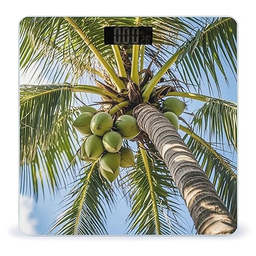 Coconut Tree Scale for Body Weight Accurate Digital Bathroom Scale Toughened Glass High Precision Scales Smart Weight Scales with Large LCD Backlight Display Weighing Machine