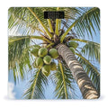 Coconut Tree Scale for Body Weight Accurate Digital Bathroom Scale Toughened Glass High Precision Scales Smart Weight Scales with Large LCD Backlight Display Weighing Machine
