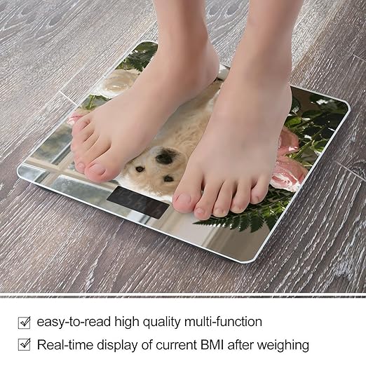 Sunny Windowsill Dog Scale for Body Weight Sturdy Tempered Glass Weighing Scales with LCD Display Accurate Digital Bathroom Scale Convenient Body Fat Smart Scales Easy Read