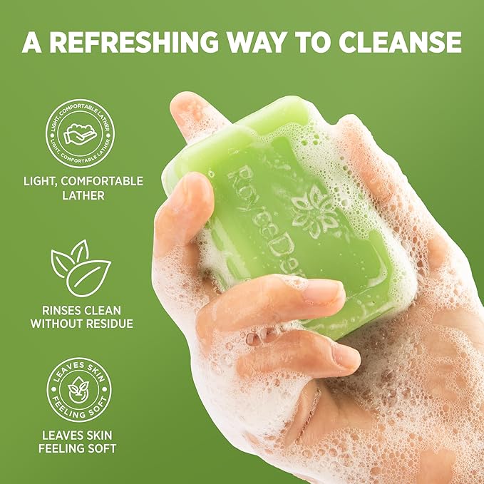 Roycederm Tea Tree Body Wash &amp Bar Soap Set – Refreshing Cleanse with Tea Tree Oil &amp Wormwood