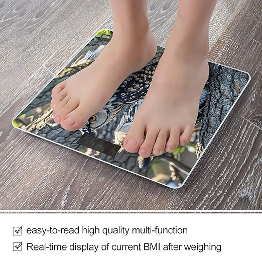 Wild Owl Birds Scale for Body Weight Smart Scales Digital Bathroom Scale High Precision Weighing Scales with Large Display Weighing Machine for People