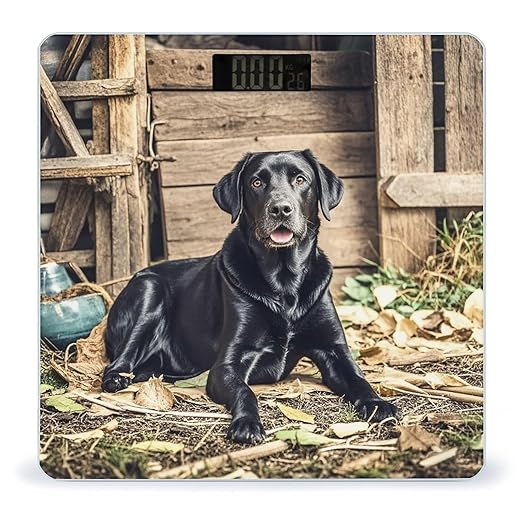Black Labrador Scale for Body Weight Smart Scales Digital Bathroom Scale High Precision Weighing Scales with Large Display Weighing Machine for People