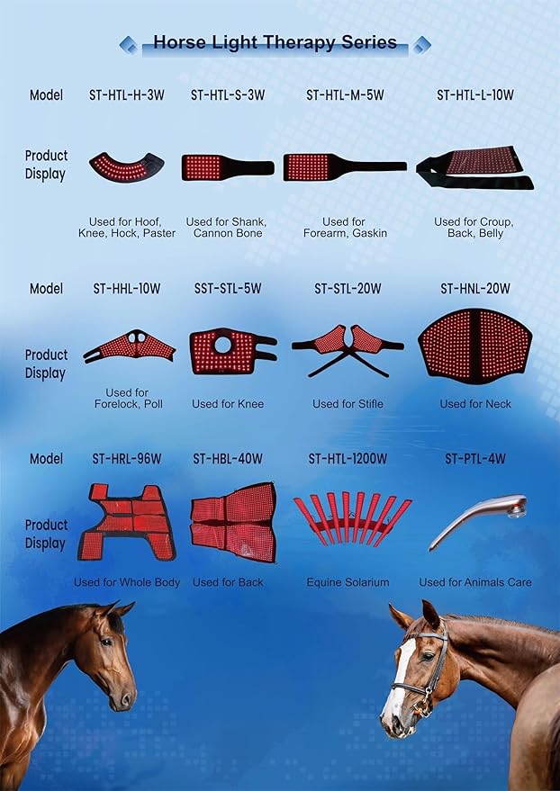 Equine Care Equipment Red Light Therapy for Horse Head Red and Near Infrared LED Rechargeable