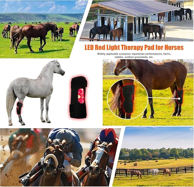 LED Red Light Therapy Device Cordless Equine Red Light Therapy 660nm/850nm Infra-Red Wrap Adjustable Modes for Horses Muscle and Joint Leg Pain