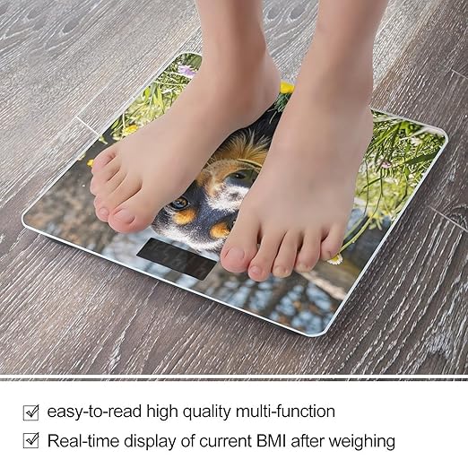 Cute Dachshund Scale for Body Weight Smart Scales Digital Bathroom Scale High Precision Weighing Scales with Large Display Weighing Machine for People