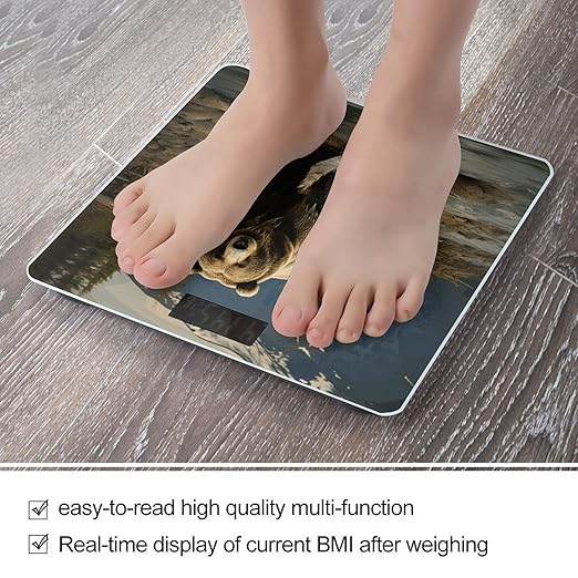 Brown Bear Bathroom Scale for Body Weight Bathroom Digital Electronic Weighing Scale with Back Lit LED Display Sturdy Tempered Glass Weight Watchers Scales 400lb