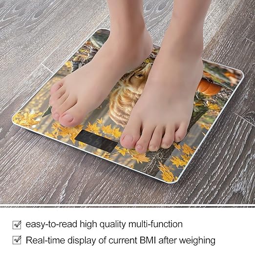 Pumpkins and Maple Leaves Bathroom Scale for Body Weight Bathroom Weighing Scales with Back Lit LED Display Sturdy Tempered Glass Body Weight Bathroom Scale 400lb Weighing