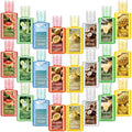 Frienda 24 Pcs Summer Themed Scented Mini Hand Sanitizers Bulk 1 Fl oz Travel Size Hand Sanitizer Assorted Scents Employee Appreciation Gifts for Coworker Staff Teacher Nurse Office Thank You Gifts