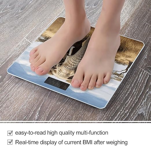 Elephant Bathroom Scale Automatic Power On/Off Body Scales LCD Backlight Display Square Digital Scale Rounded Corners Bathroom Scales for Home Bedrooms