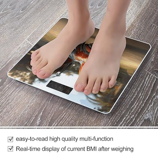 Proud Rooster Bathroom Scale Automatic Power On/Off Body Scales LCD Backlight Display Square Digital Scale Rounded Corners Bathroom Scales for Home Bedrooms