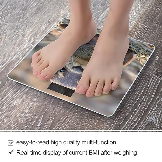 Cute Otter Bathroom Scale Automatic Power On/Off Body Scales LCD Backlight Display Square Digital Scale Rounded Corners Bathroom Scales for Home Bedrooms