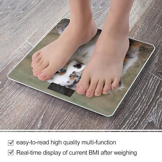Australian Shepherd Bathroom Scale Automatic Power On/Off Body Scales LCD Backlight Display Square Digital Scale Rounded Corners Bathroom Scales for Home Bedrooms