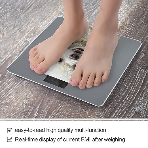 French Poodle Bathroom Scale Automatic Power On/Off Body Scales LCD Backlight Display Square Digital Scale Rounded Corners Bathroom Scales for Home Bedrooms
