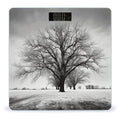 Black and White Tree Scale for Body Weight Safe Rounded Corners Tempered Glass Digital Bathroom Scale LED Display 400lb Capacity Weight Scales with High Precision Sensors