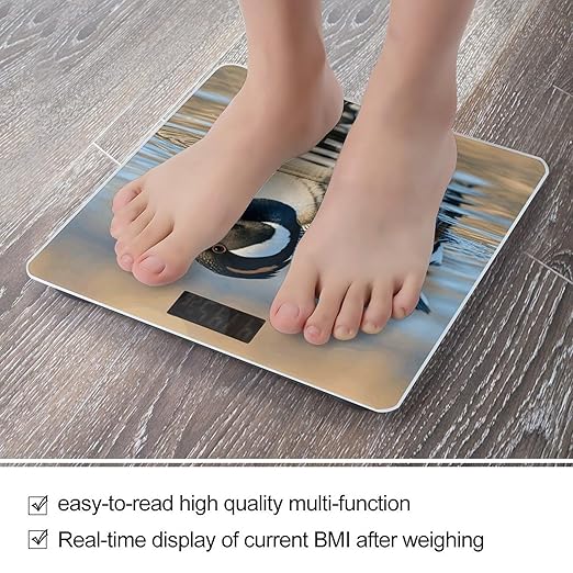 Loon Nature Birds Scale for Body Weight Sturdy Tempered Glass Weighing Scales with LCD Display Accurate Digital Bathroom Scale Convenient Body Fat Smart Scales Easy Read