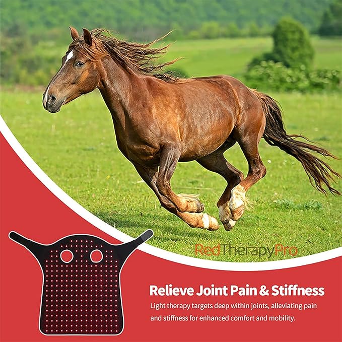 Red Light Therapy for Horses Head 660nm 850nm Wearable Near Infrared Light Cap Rechargeable 15 mins Timer for Equine Head Pain Relief M