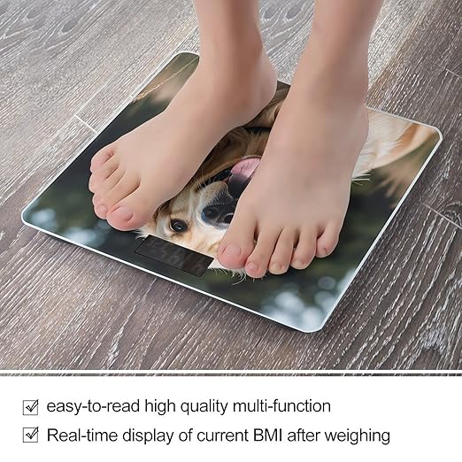 Funny Golden Retriever Scale for Body Weight Digital Bathroom Scale Toughened Glass High Precision Scales for Body Weight with Large LCD Backlight Display Weight Scales
