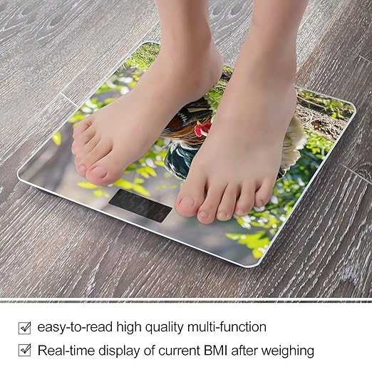 Rooster and Hen Scale for Body Weight Highly Accurate Digital Bathroom Body Scale Digital Bathroom Scales for People Anti-Slip Large LCD Display Smart Scales
