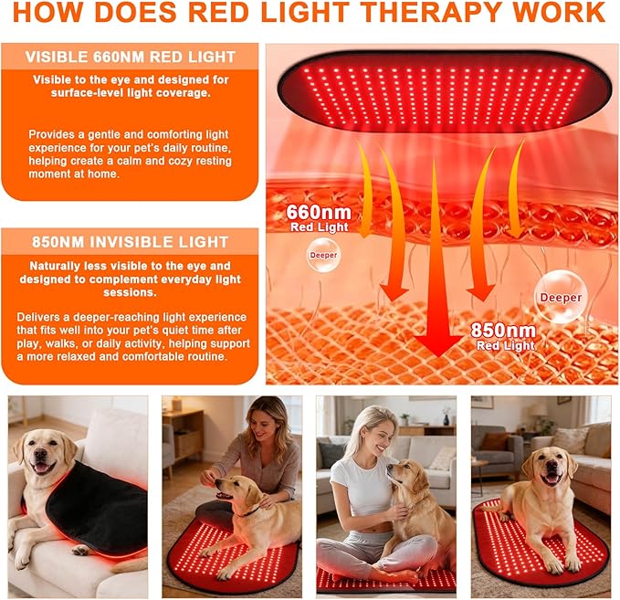 Red Light Therapy Mat for Dogs 23.6 x 39.4 Inches Pet Light Therapy Mat 360 LED Beads 660nm &amp 880nm Light Timer and Controller for Dog Back Waist Legs