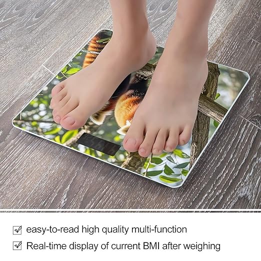 Red Pandas Scale for Body Weight Highly Accurate Digital Bathroom Body Scale Digital Bathroom Scales for People Anti-Slip Large LCD Display Smart Scales