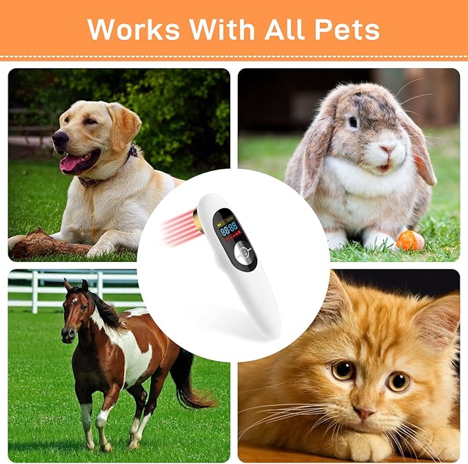 Red Light Therapy Light for Dogs - Infrared Light Therapy for Pain Relief with Goggles and Storage Bag