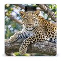 Leopard Scale for Body Weight Digital Bathroom Scale Accurate Smart Weight Scales with Large Display Weighing Machine High Precision Scales
