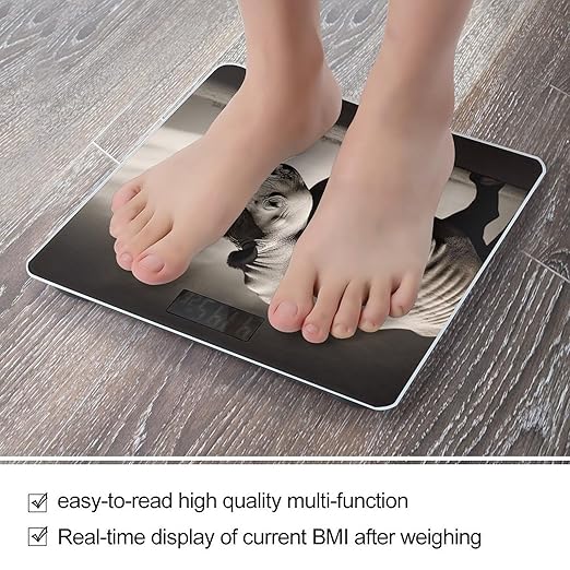 South Africa Animal Scale for Body Weight High Precision Digital Weight Scales with LCD Display Anti-Slip Sturdy Slim Tempered Glass Bathroom Scale for Home Use