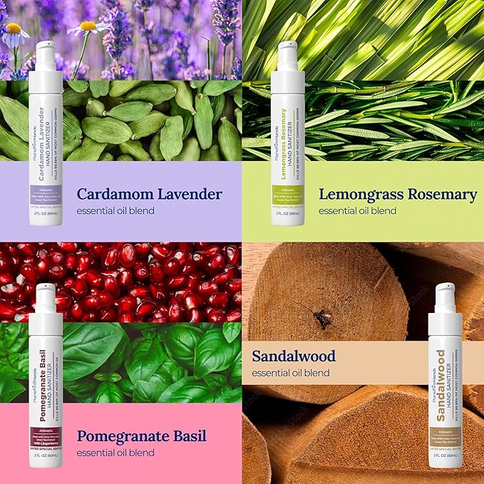 Lotion Hand Sanitizer Variety 4 Pack | Hand Sanitizer Travel Size | Moisturizing Hand Lotion | With Aloe Vera &amp Essential Oils | Vitamin E | Cleanse &amp Moisturize | For Cars Backpacks Travel
