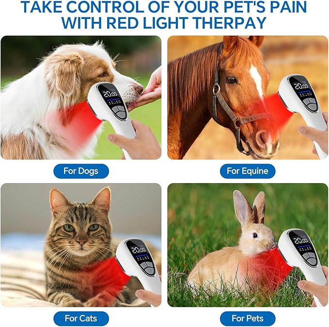 Red Light Therapy Device for Body Pain ReIief with Stand 6x808nm+12x650nm Handheld Near Infrared Light Therapy with PW Pulsed Wave Model for Human Body Joint Back Knee Muscle