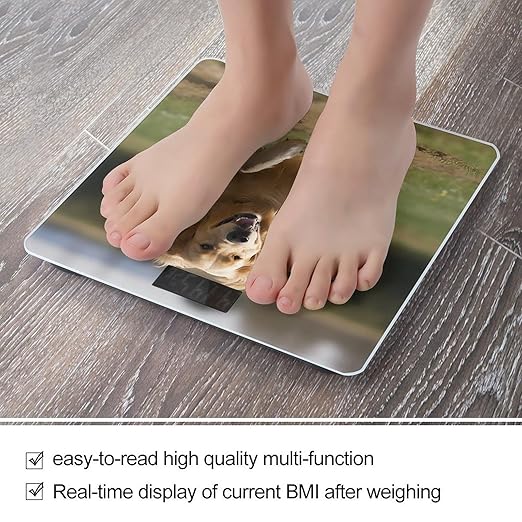 Golden Retriever Running Scale for Body Weight Highly Accurate Digital Bathroom Scale Sturdy Tempered Glass Weighing Scales with LCD Display Fashion Body Fat Smart Scales 400lb