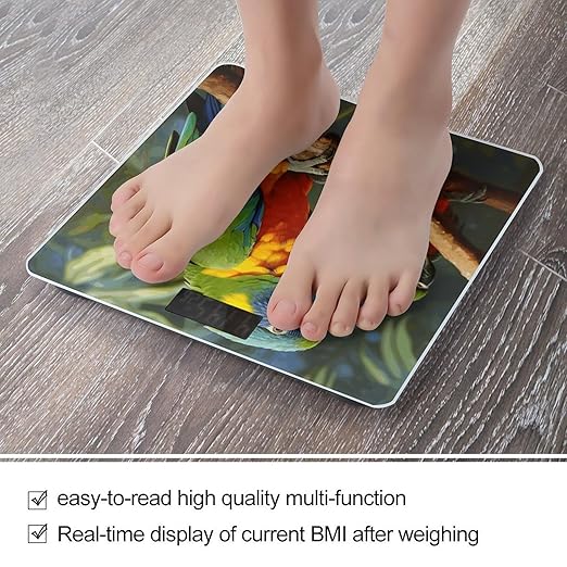 Bird Parrot Painting Bathroom Scale Weight Scale for Body WeightHighly Accurate Digital Weighing Machine Clear LED Display Digital Bathroom Body Scale 400lb/182kg