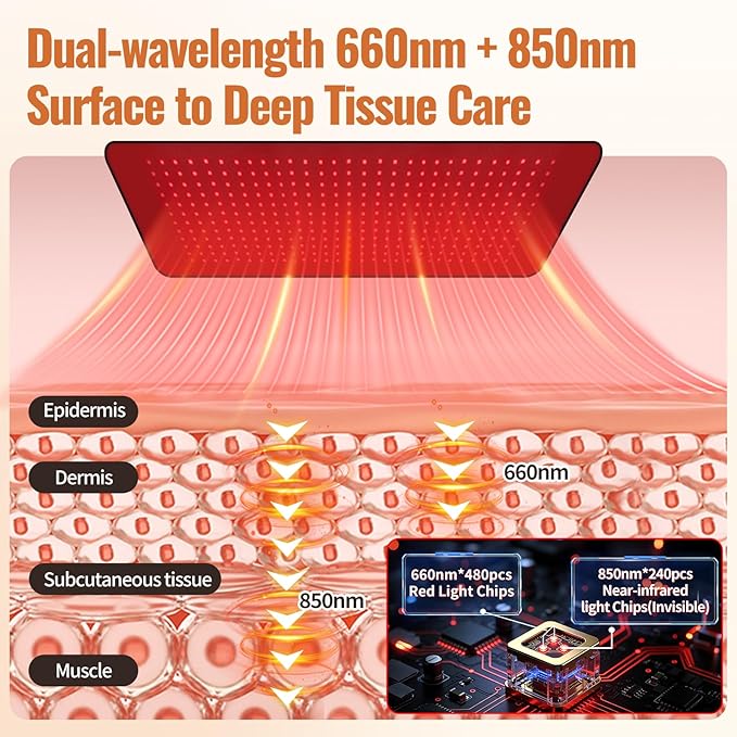24’’ x 12’’ Red Light Therapy Belt for Body 660nm &amp 850nm Infrared Wrap with 3 Modes 5 Intensity Levels 10–90 Min Timer Adjustable LED Light for Muscle Relaxation &amp Wellness
