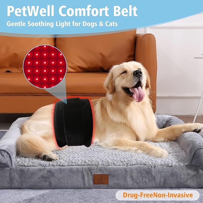 PetWell Comfort Belt: 120 LED Dog &amp Cat Red Light Therapy Belt - Portable Infrared Light Wrap for Back Hips Knees | Soothing Mat Pad Device for Arthritis &amp Pain Relief in Pets