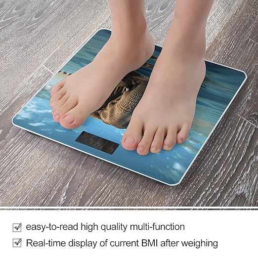 Elephant is Sitting in The Water Bathroom Scale for Body Weight Bathroom Weighing Scale with Backlit LCD Display Highly Accurate Measures Weight Up to 180kg