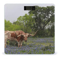 Longhorn Steer and Bluebonnets Scale for Body Weight Digital Bathroom Scale Precision Smart Weighing Scales with Clear LED Display Accurate High Precision Scales Weighing Machine