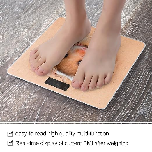 Funny Hamste Scale for Body Weight Anti-Slip Sturdy Tempered Glass Weighing Machine Highly Digital Accurate Bright LCD Bathroom Scale for Household Gift