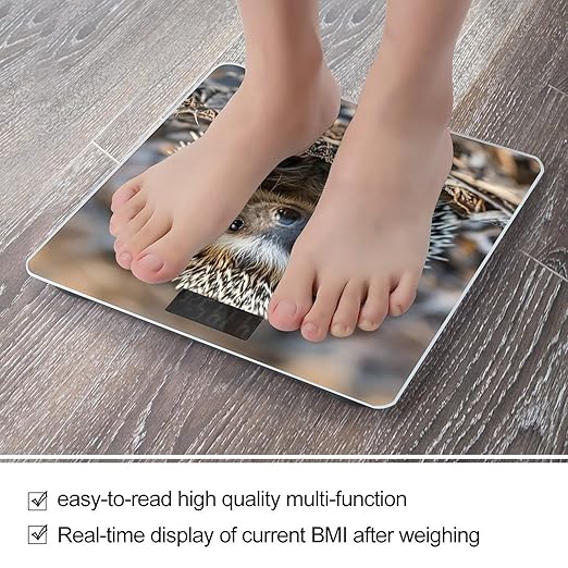 Hedgehog Bathroom Scale Automatic Power On/Off Body Scales LCD Backlight Display Square Digital Scale Rounded Corners Bathroom Scales for Home Bedrooms