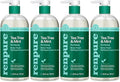 RENPURE Tea Tree &amp Mint Body Wash - Cleanses Invigorates &amp Refreshes Skin Without Over-Drying - For All Skin Types - Tea Tree Leaf Oil Spearmint Leaf Oil - 24 Fl Oz each2 Count (Pack of 2)
