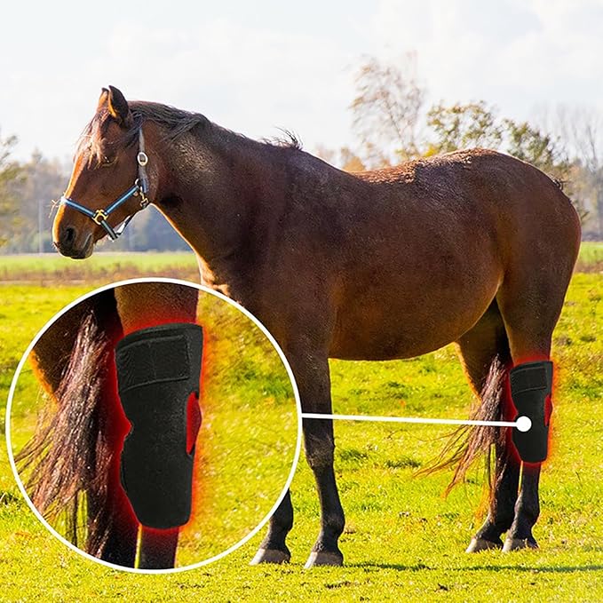 LED Red Light Therapy for Horse Knee Portable Wearable Infrared Therapy Wrap 660nm/850nm for Equine Joint &amp Muscle Recovery