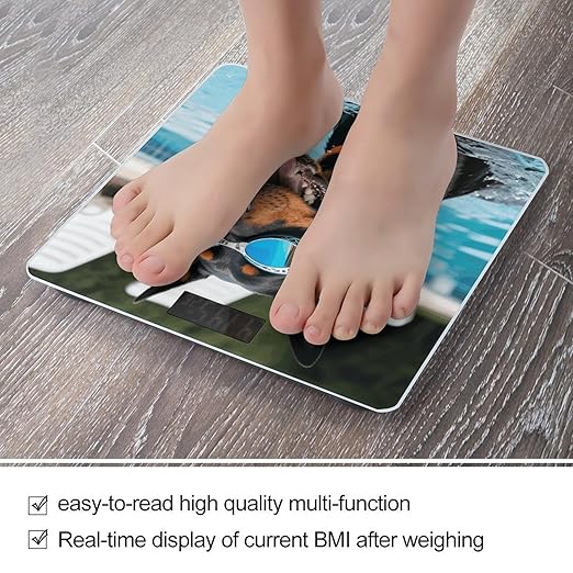 Doberman in Pool Scale for Body Weight Sturdy Tempered Glass Weighing Scales with LCD Display Accurate Digital Bathroom Scale Convenient Body Fat Smart Scales Easy Read