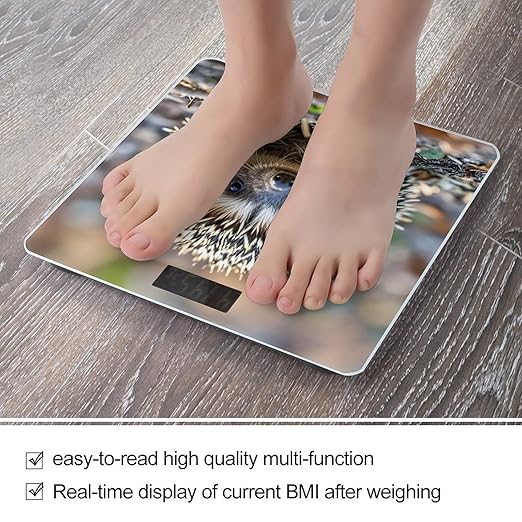 Hedgehog Scale for Body Weight Digital Bathroom Scale Toughened Glass High Precision Scales for Body Weight with Large LCD Backlight Display Weight Scales