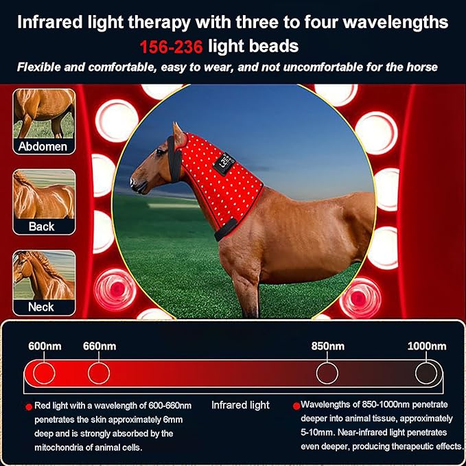 Equine Red Light Therapy Device Horse Muscle Recovery Red Light Therapy Lamp Waterproof Red Light Therapy Pad Built-in Timer 6-Level Dimming 56 * 30CM
