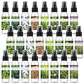 Frienda 24 Pcs Herbal Scented Mini Hand Sanitizer Spray Bulk Travel Size 2 Fl. oz Portable Hydrating Moisturizing Power Mist Hand Sanitizer Spray for Personal Use Employee Staff Coworker Nurse Teacher