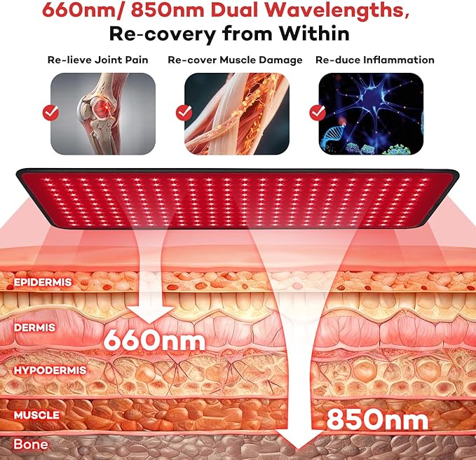 Ezona Red Light Therapy Pad for Body Pain 24 x 12 inch Large Infrared Light Therapy with 660/ 850nm for Back Relief High-Output 242 LEDs Light with Remote Control for Shoulder Waist Knee Muscle