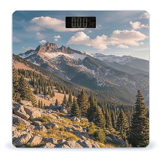 Pikes Peak Colorado Scale for Body Weight Smart Scales Digital Bathroom Scale High Precision Weighing Scales with Large Display Weighing Machine for People